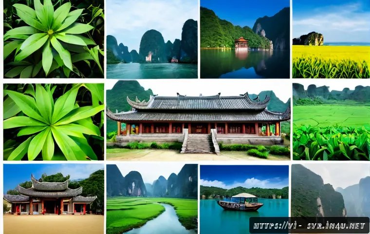 Tách môi trường Dev, Staging và Production: Cách triển khai an toàn và tối ưu chi phí máy chủ 4 서버 환경의 분리 개발 스테이징 프로덕션 관련 이미지 2